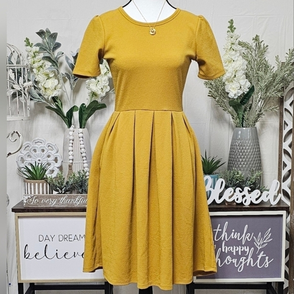 LuLaRoe | TWO for ONE | AMELIA KNIT BACK ZIP FLAIR DRESS - Picture 3 of 15